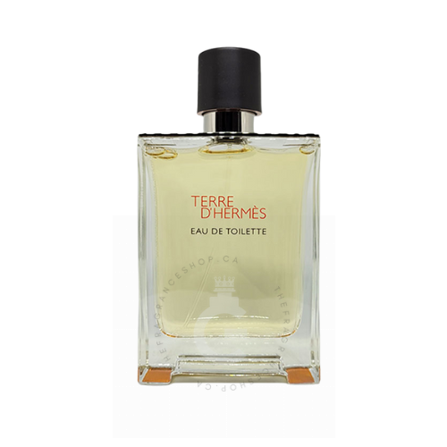 Hermes Terre d'Hermes EDT For Him 100 ml / 3.3 Fl. oz. Tester